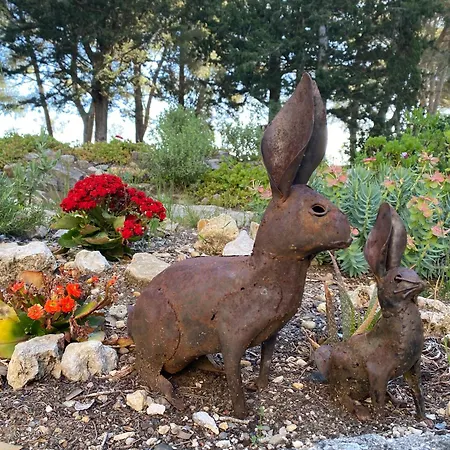 Domaine De Fondouce Bed & Breakfast